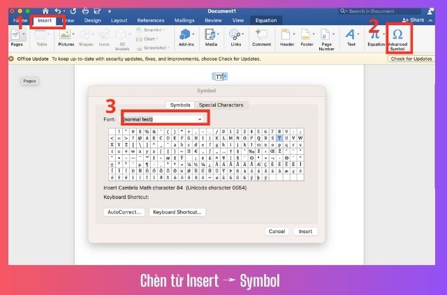 cách chèn kí tự trong word
