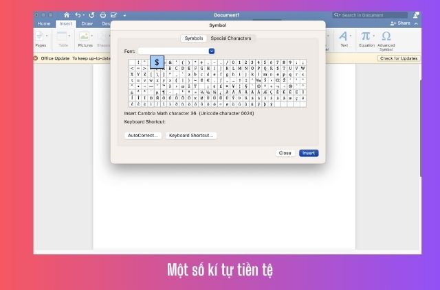 kí tự tiền tệ